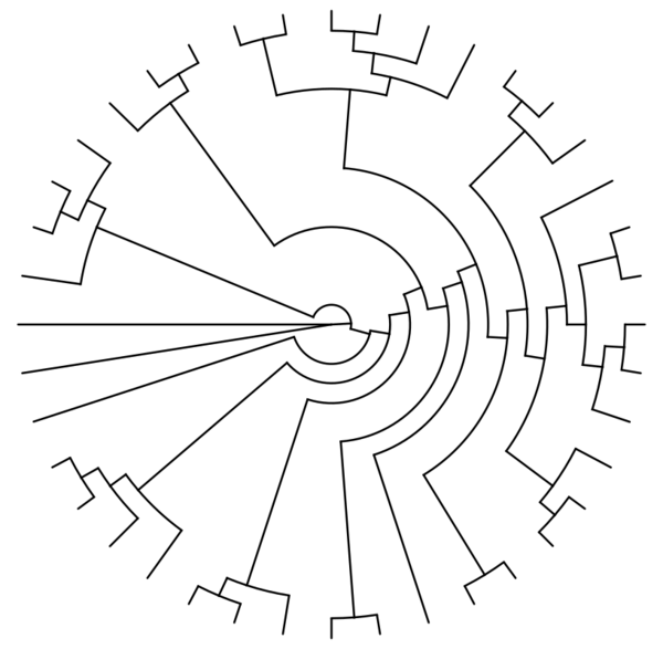 Genealogy_Intermediate